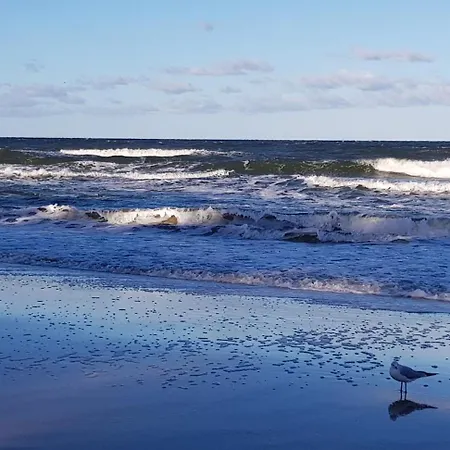Rennschmid Insel Usedom In Netzelkow