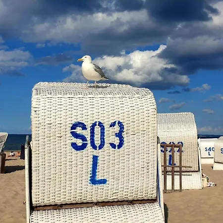 Rennschmid Insel Usedom In Netzelkow Feriehus